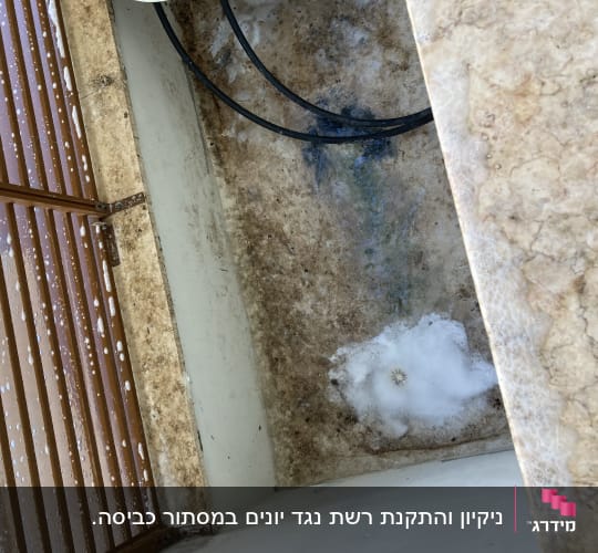 קצף ניקוי על משטח אבן עם סורגי עץ